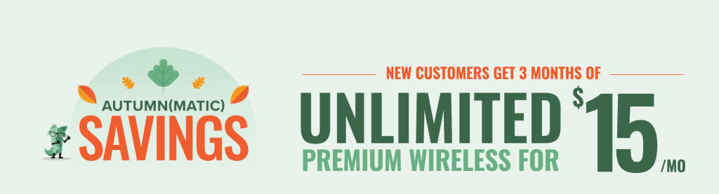 A screenshot of the plans for Mint Mobile with prices